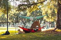 里海大学本科一年学费多少钱？